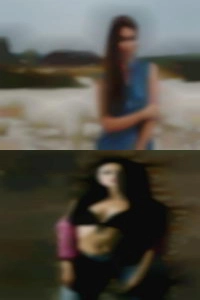 Thewetprnann fat